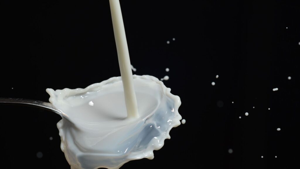 Milk and its harmfulness